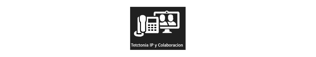 Telefonía IP y Colaboración | Conmutadores, Teléfonos y VoIP
